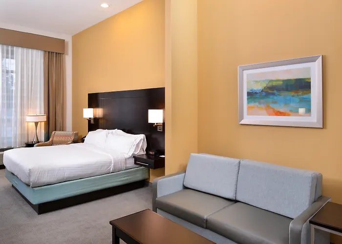 Holiday Inn Express & Suites Austin South By Ihg